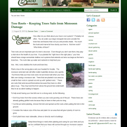 sonoran-oasis-blog